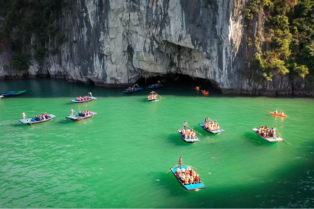 Bateaux transportant des touristes pour visiter la grotte de Luon dans la baie d'Ha Long